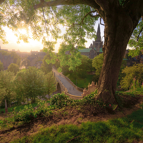 View of Glasgow Cathedral from the Necropolis 