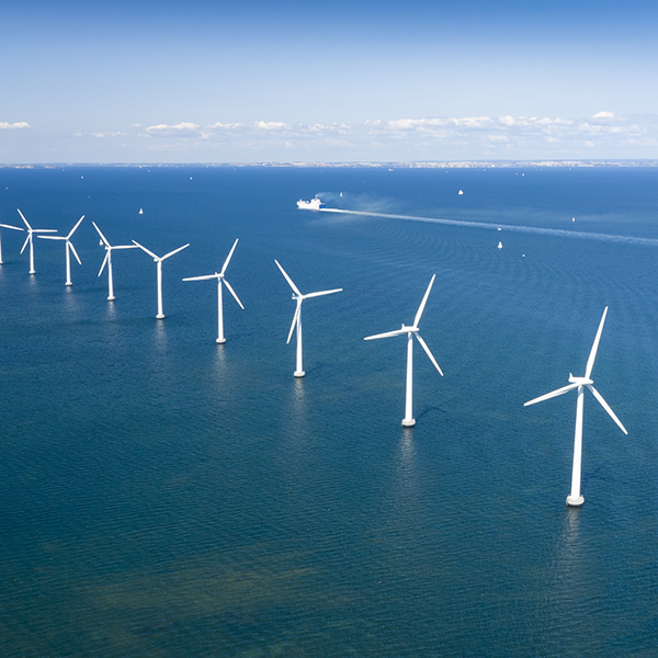 Offshore wind farm