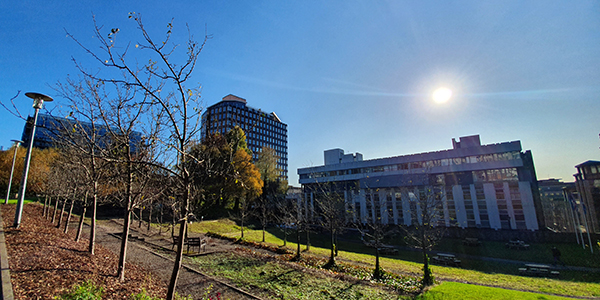 Rottenrow Gardens