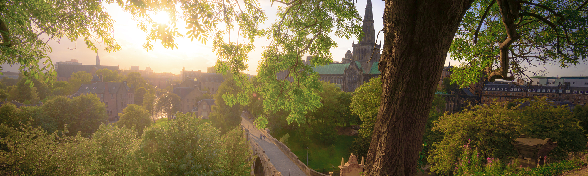 View of Glasgow Cathedral from the Necropolis 